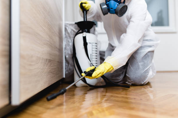 Best Bed Bug Extermination  in Wilder, ID