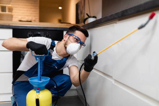 Best Pest Control for Businesses  in Wilder, ID