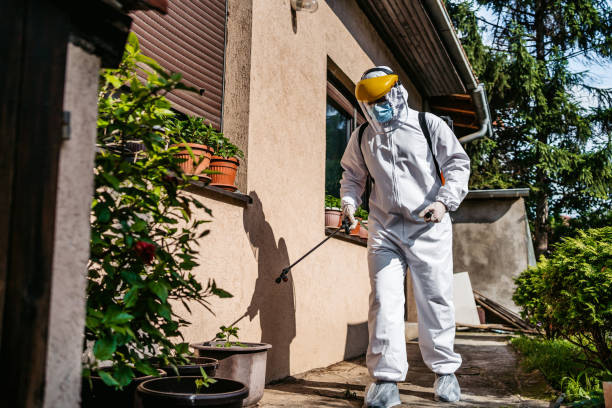 Best Pest Control Near Me in Wilder, ID