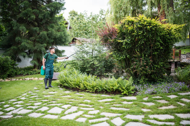 Best Insect Control  in Wilder, ID