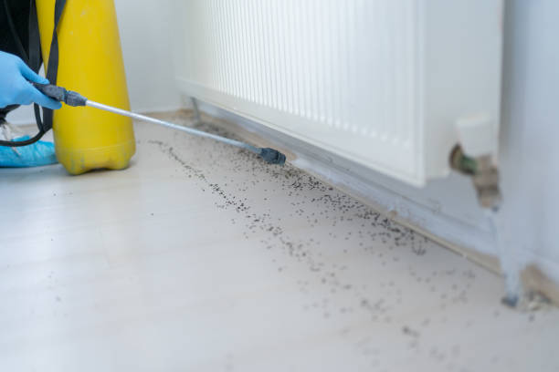 Best Pest Inspection Near Me  in Wilder, ID