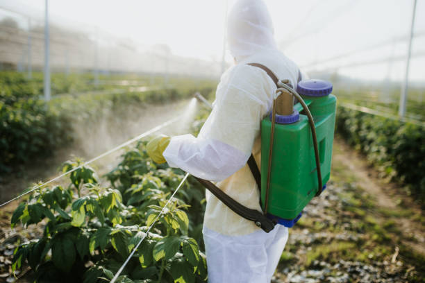 Best Pest Control Near Me  in Wilder, ID